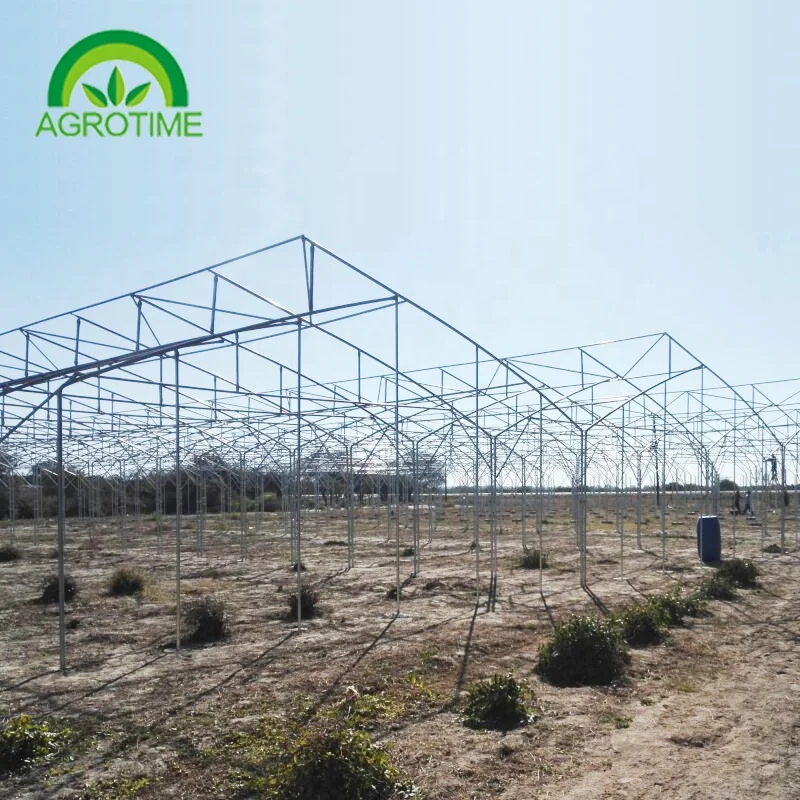 Argentina Projects Installed Commercial Hydroponic Plastic Film Green House Multi-span Agricultural Greenhouses