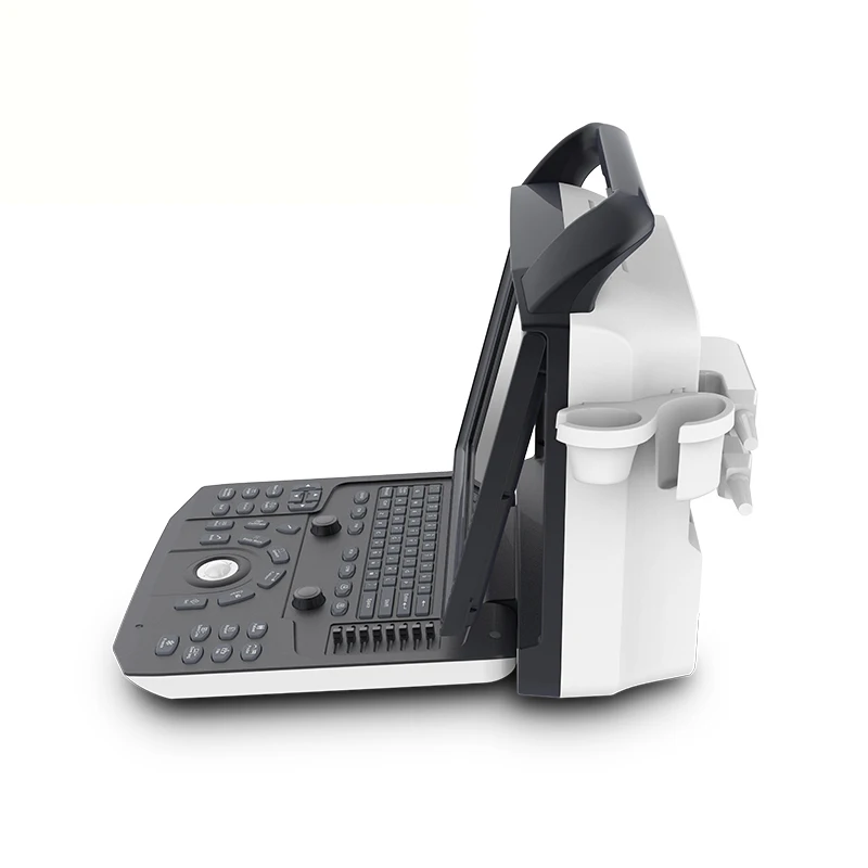 Real Manufacturer Diagnostic Machine Systems Micro Convex Probe Color Doppler 3D 4D Ultrasound Machine