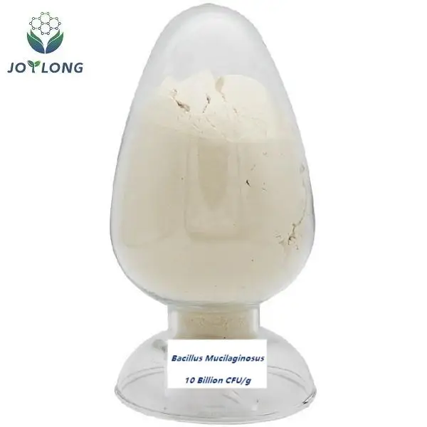 Factory Price Bio Fertilizer Probiotics Silicate Bacterium Bacillus Mucilaginosus