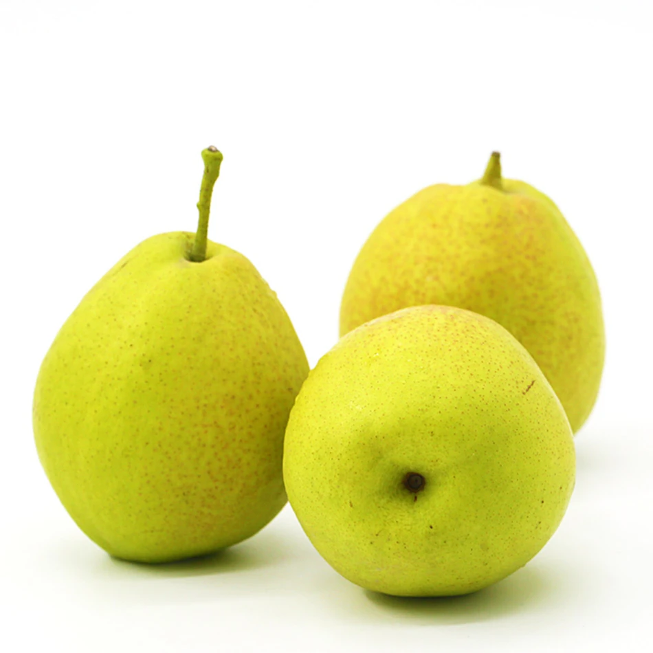 High quality with best price Chinese fresh pear fruit