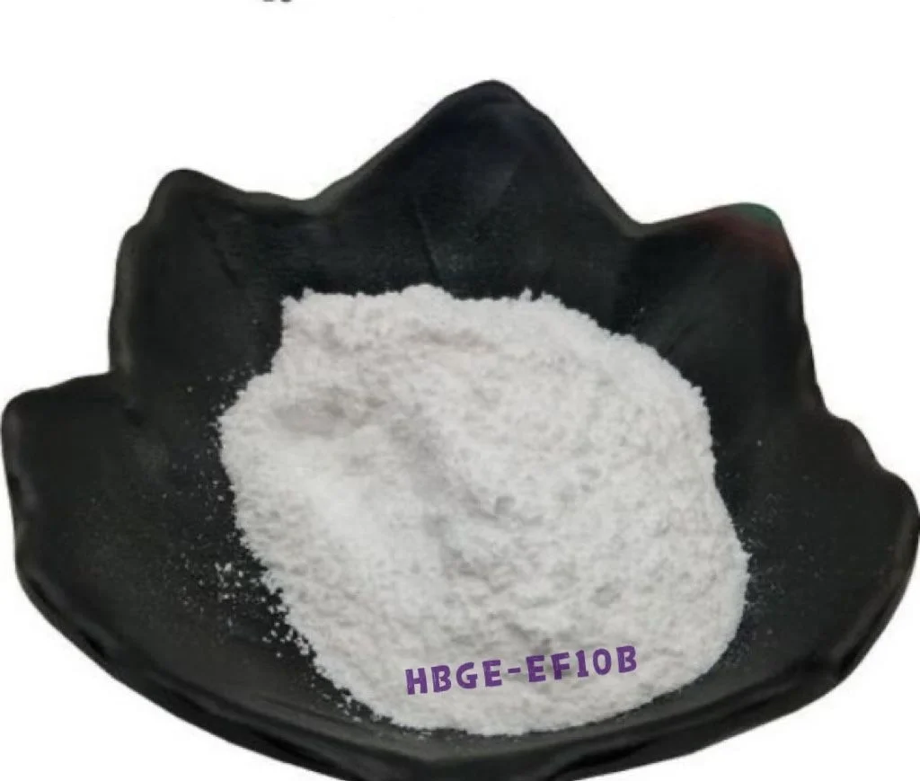 Enterococcus faecalis Lactic acid bacteria