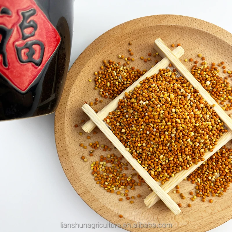 Factory supply  high purity  small red millet red millet seed