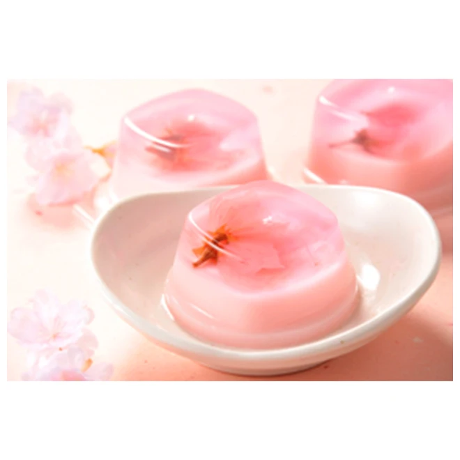Delicate hot sale premium delicious millk jelly cake fruit pudding