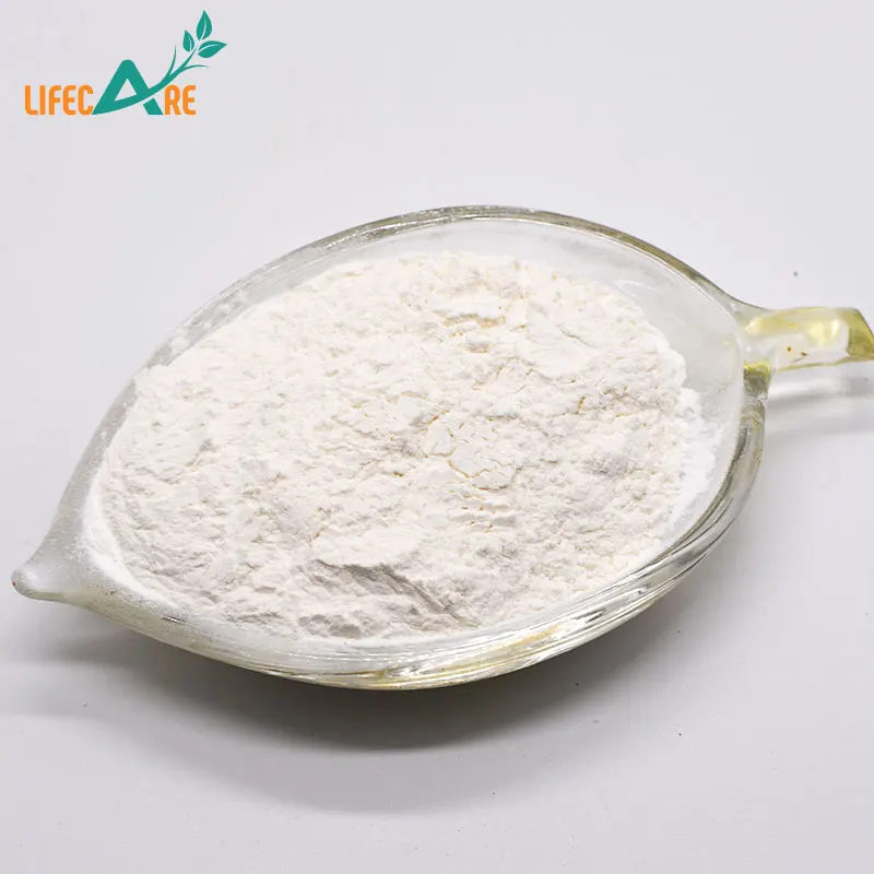 Certification ISO Chinese Factory Supply Probiotics Lactobacillus Lactis With Best