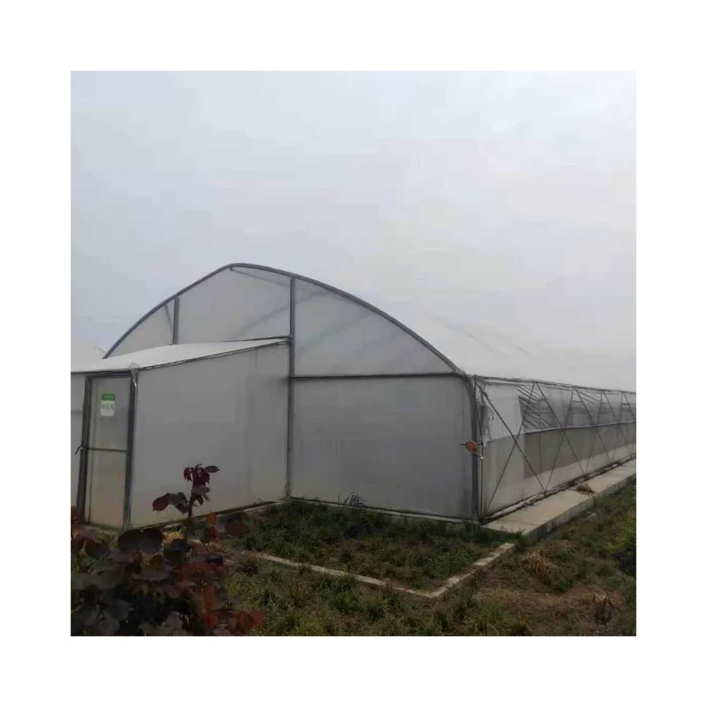 
New Listing Large Operation And Practicality Can Be Customized Commercial Greenhouse Structure 