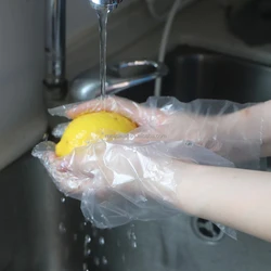 2PCS disposable food grade china independent plastic gloves single packing pe glove individually wrapped gloves