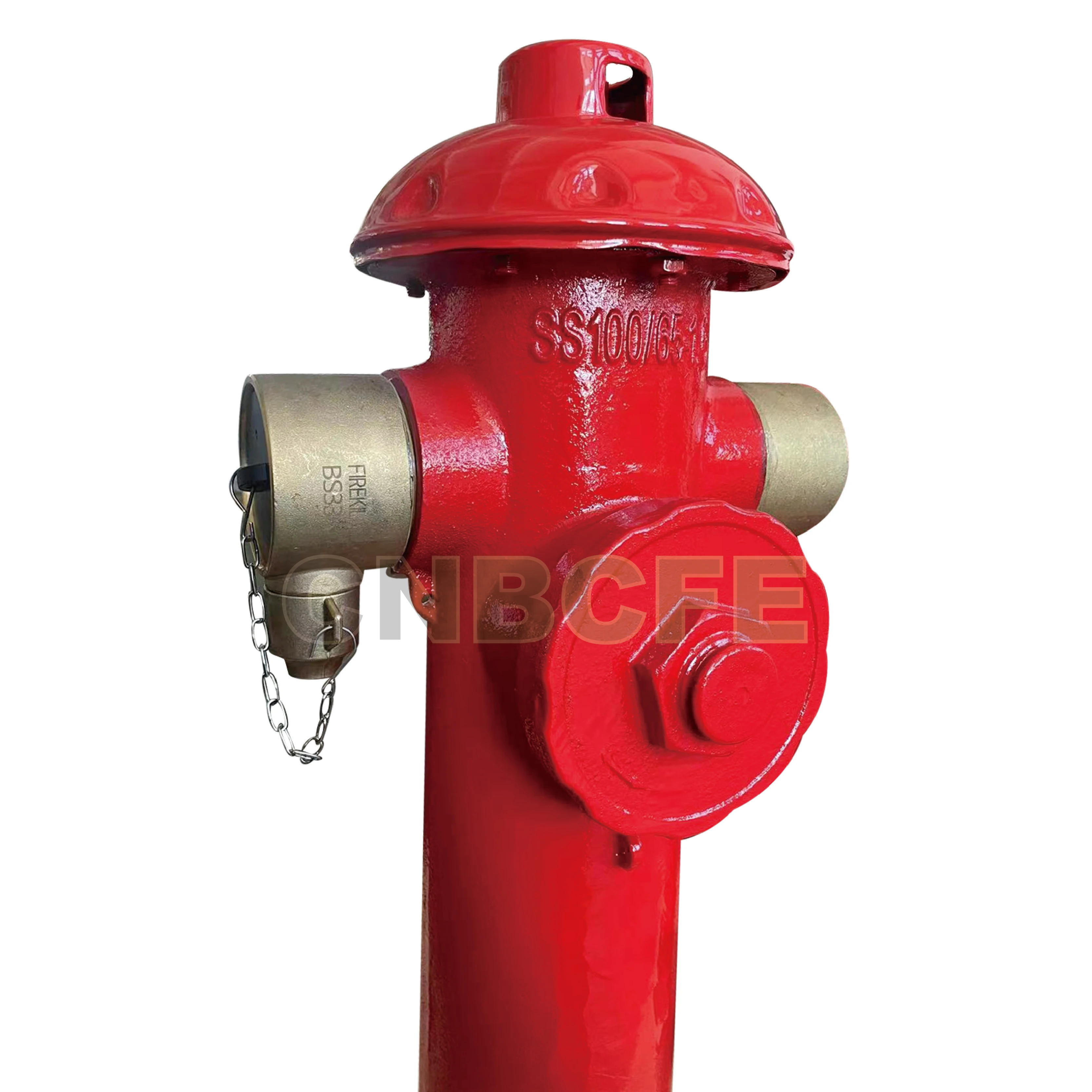 BaiChuan Factory Wholesale OEM ODM Ductile Iron Outdoor Grounding Pillar Type Fire Hydrant With Valve