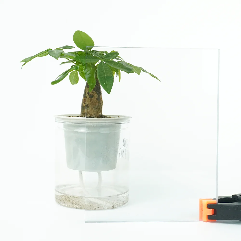 Supplier Polycarbon Plastic Sheets 4mm 5mm 6mm Wall Polycarbonate Sheet UV Panel roofing sheet