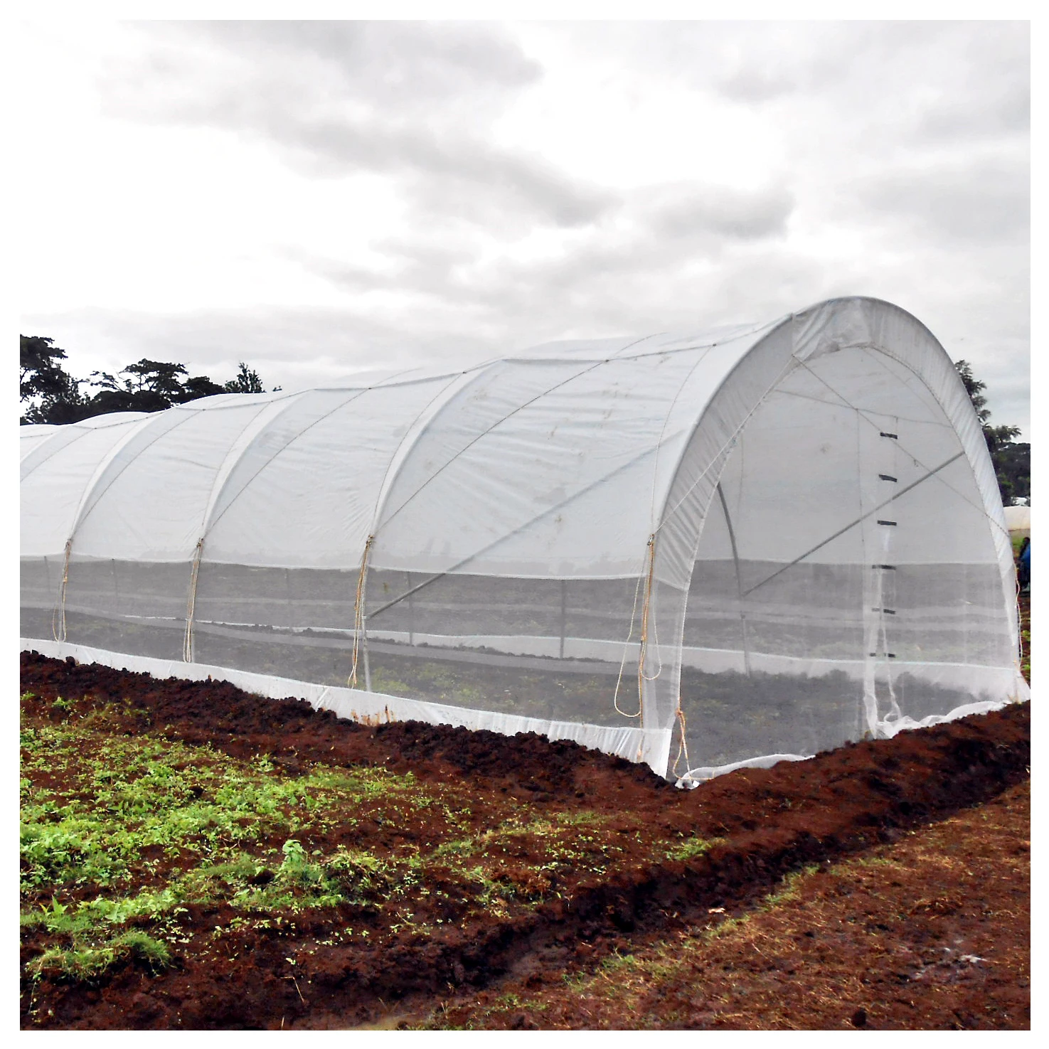 frame film greenhouse prices greenhouse full set film for mountable greenhouses