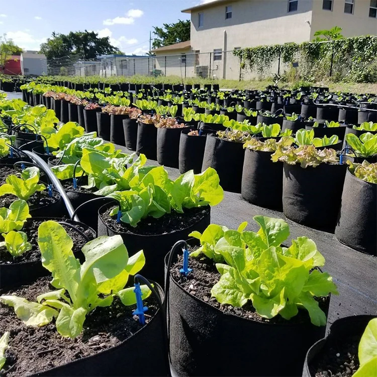 Индивидуальный размер 1 3 5 7 10 15 20 30 галлонов, Нетканый мешок для выращивания растений, горшки для детских садов