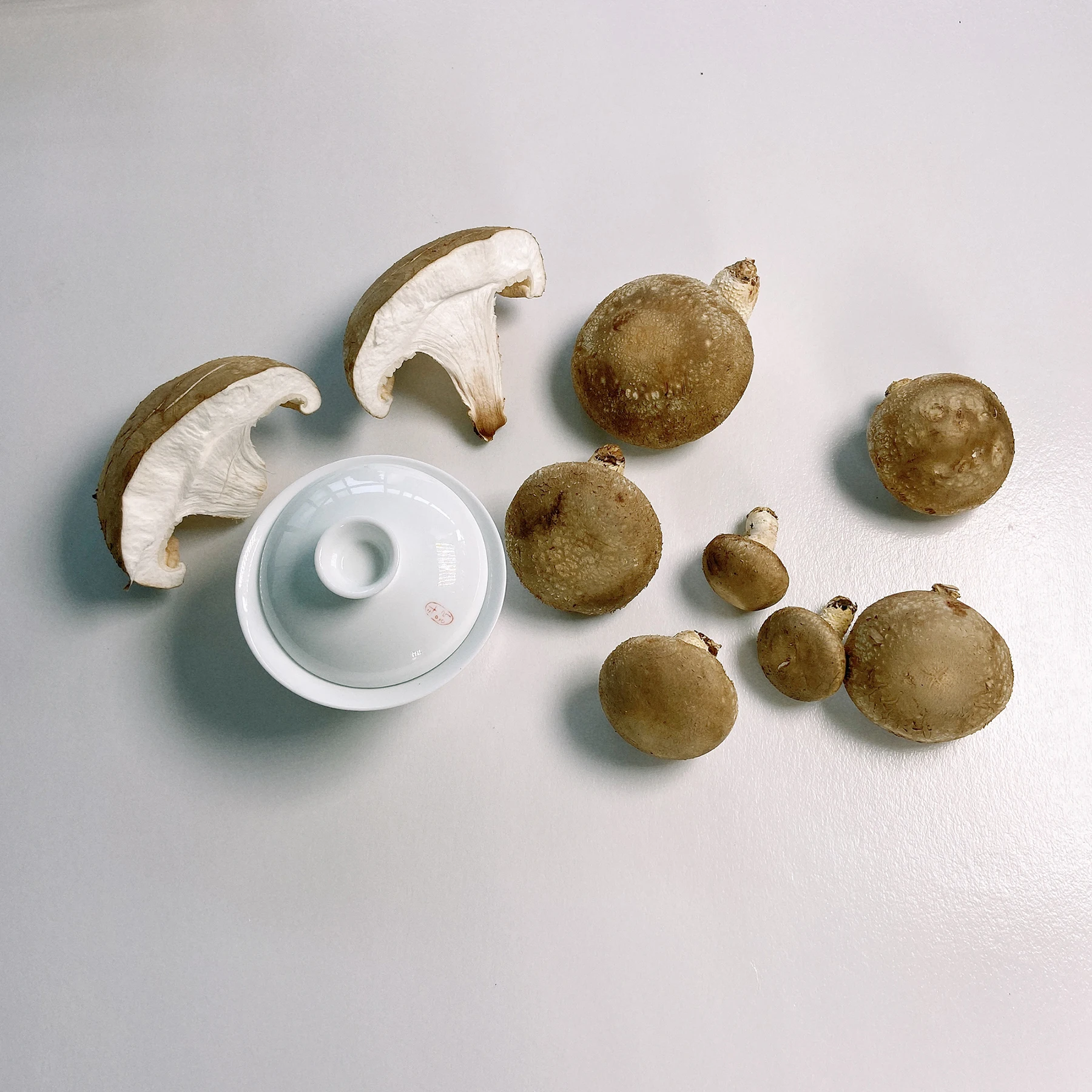 Selected Light Tawny Solidus Patterned Fresh Mushroom For Sale