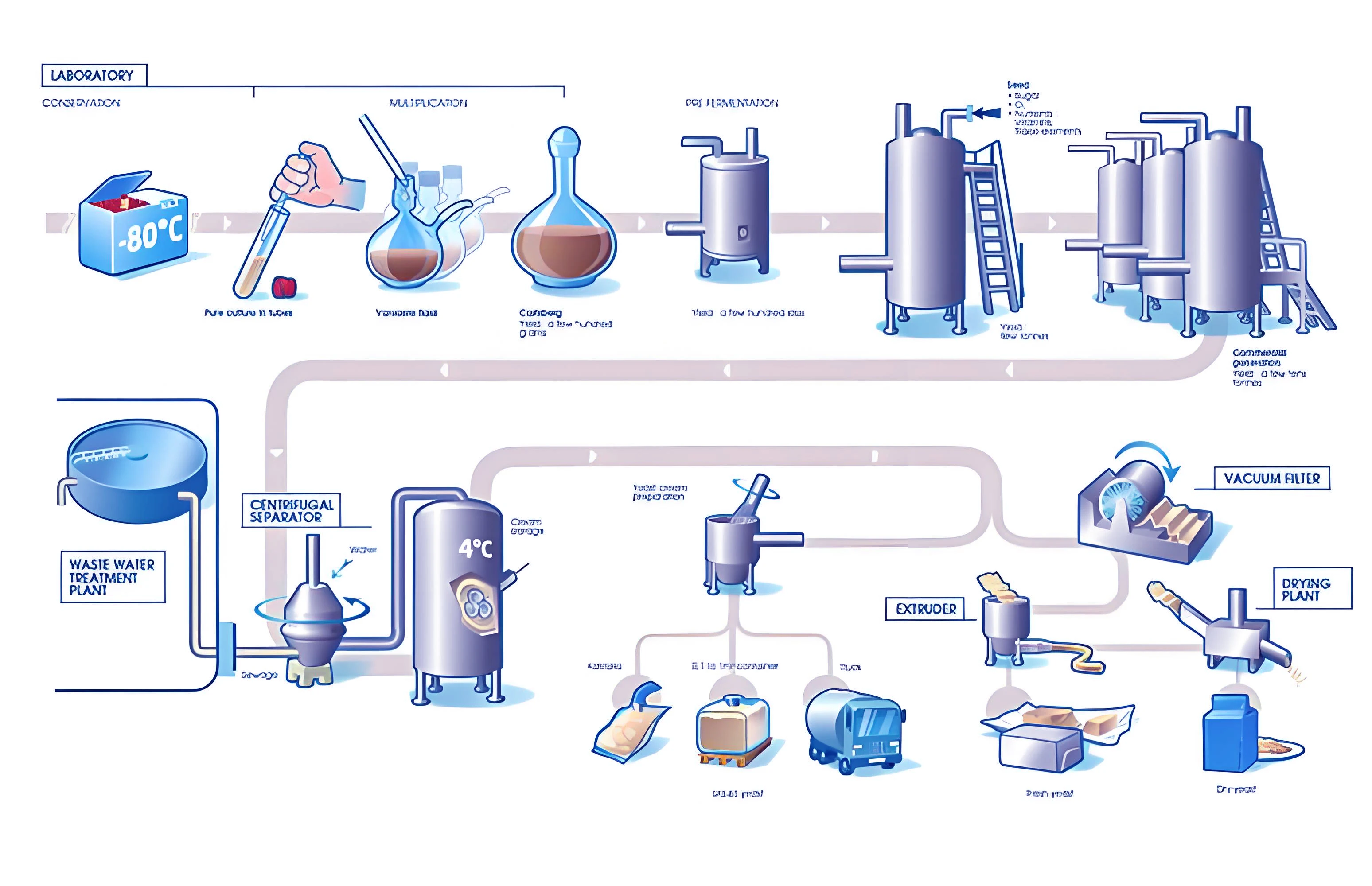 high sugar tolerance active dry baking yeast powder instant halal low suger 500g manufacturing plant for bread pizza pastries