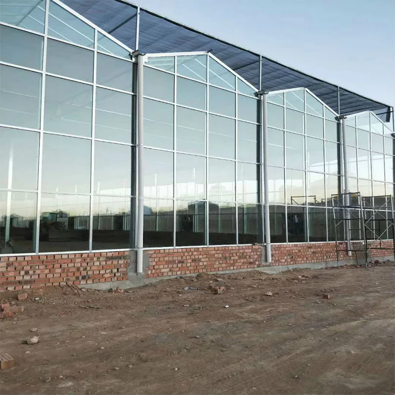 China Venlo Agriculture Multi Span Hydroponic Glass Greenhouse for Vegetables/Flowers/Tomato/Farm/Garden