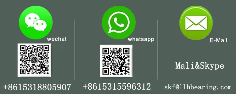 Bella Contact infomation