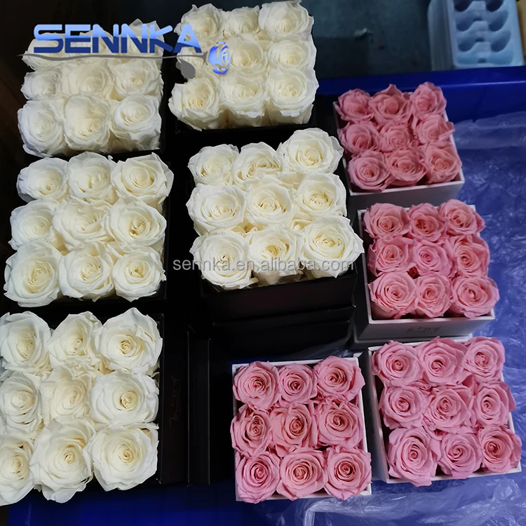 Оптовая продажа, поставщик yunnan kunming, подарок на день Святого Валентина, сохраненный натуральный цветок розы