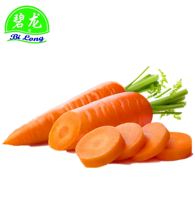 chinese fresh carrot S M L 2L 3L Shandong new crop Qingdao port