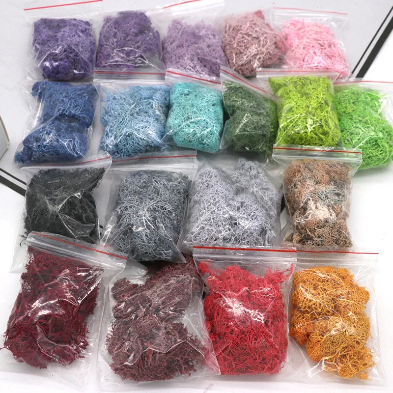 10g/bag wholesale indoor natural green decorative lichen DIY materials moss wall preserved moss