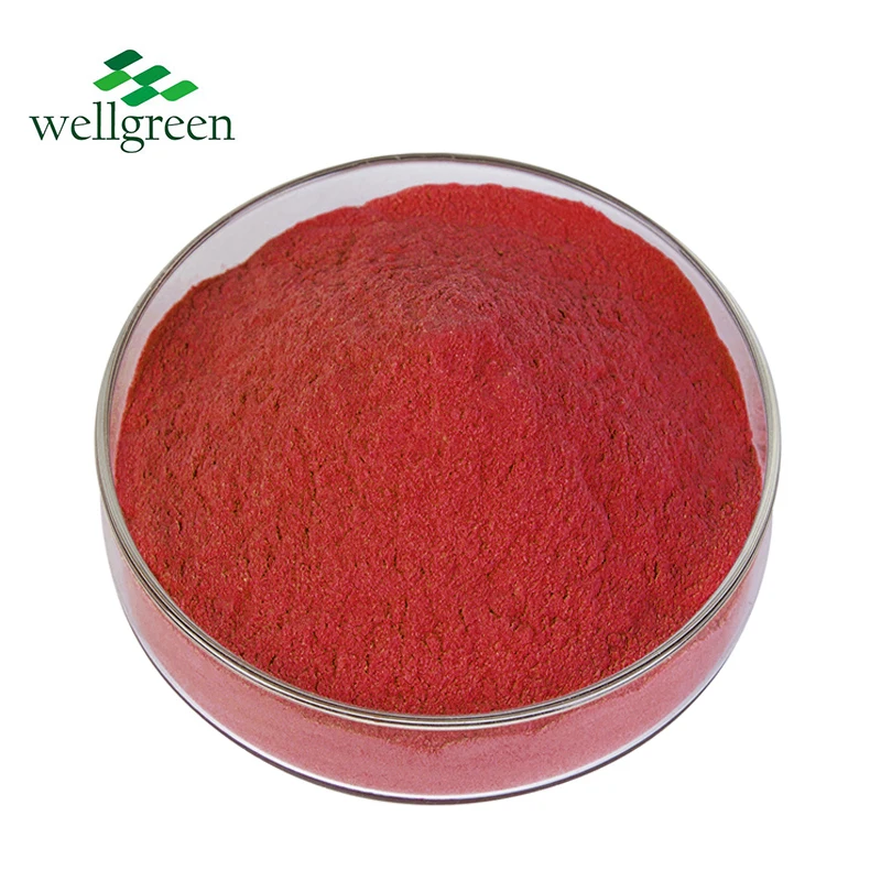 Raw Material Supplier Pure Quinone 72909-34-3 Pyrroloquinoline quinone C14h6n2o8 Supplements Pqq Powder