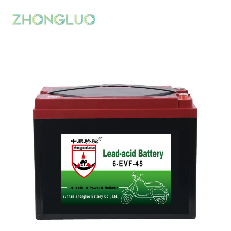 Lead Acid Battery 6-evf-45 For Electric Bicycles/Scooters, electric vehicles,