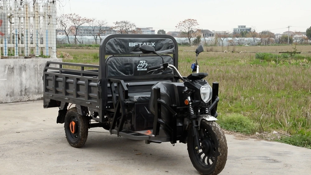 Удобный в использовании китайский Сельский автомобиль авто-рикша EEC Trike 3-колесный Электрический моторизованный трицикл грузовой распродажа