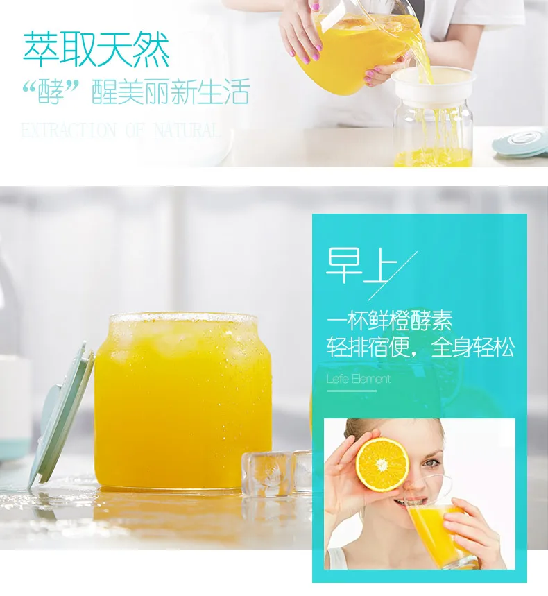 2019 New 2L Glass Container Natto Machine Fermentation Machine Mini Yogurt Maker with Best Price