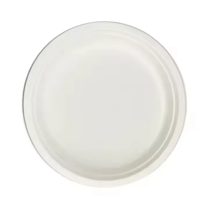 Hot Sale Disposable Sugarcane Bagasse Plate Party Paper Plates for Wedding Festival & Parties