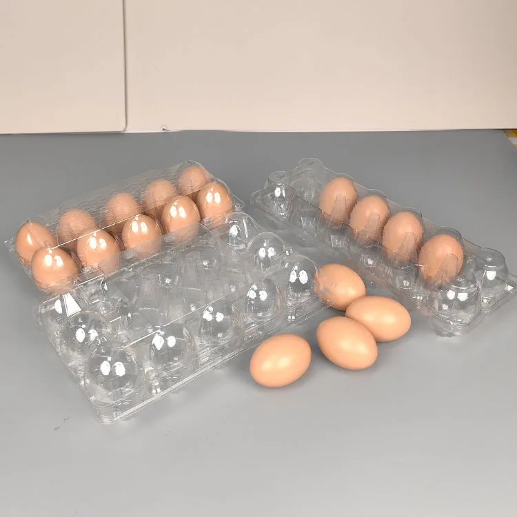 15 Plastic Egg Cartons Disposable Clear Blister Plastic PET Eggs Cartons Packaging Egg Trays Suppliers