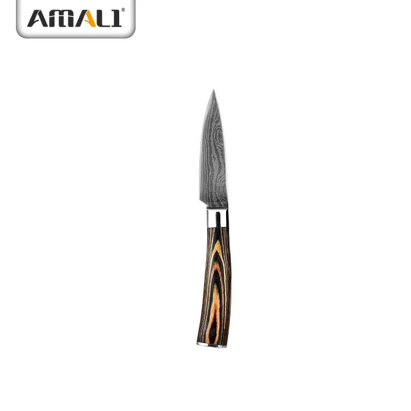 Ready to ship --High quality kitchen paring knife with damascus pattern laser on the blade kitchen knives with pakka wood handle