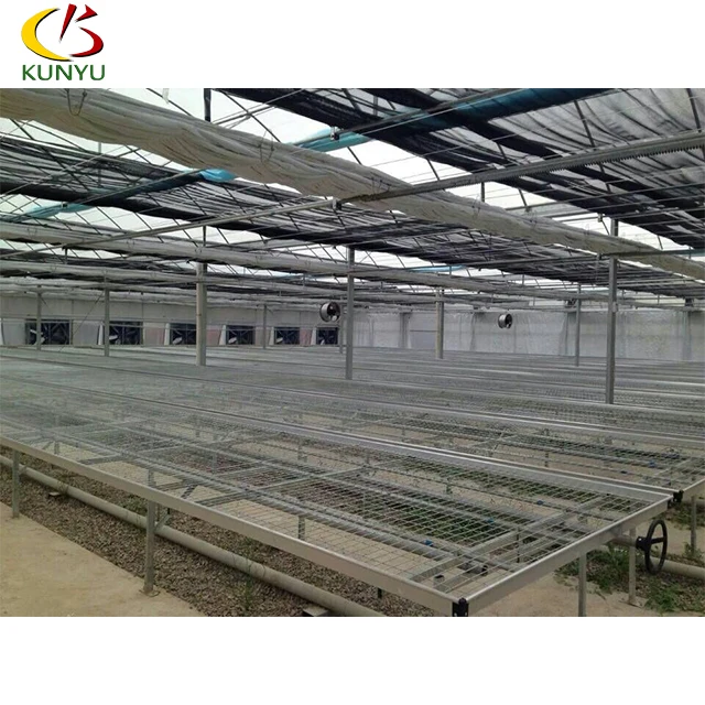 
Factory wholesale galvanized steel bench mesh plastic mesh greenhouse rolling bench plant nursery in Canada 