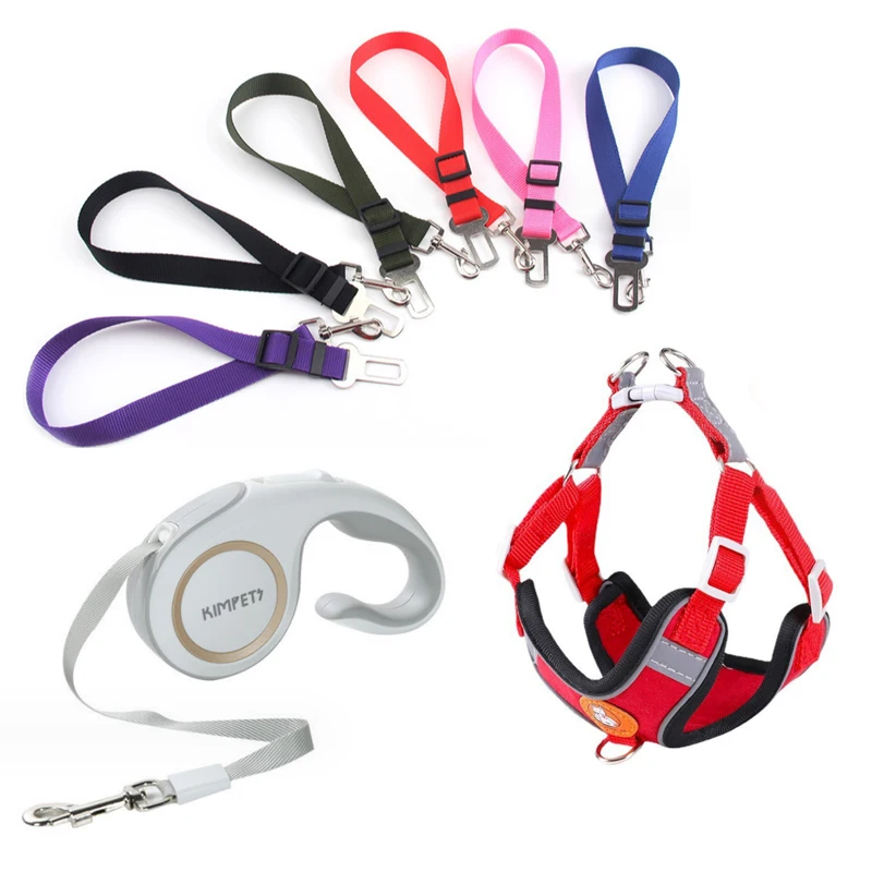 Pu Leather Soft Pet Harness Collar Service Dog, Puppy Leash Set Toys Cloths Led Light Glow In The Dark/
