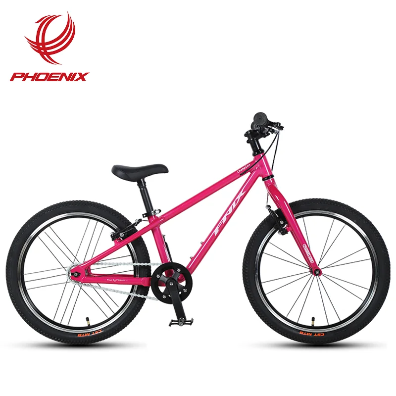 PHOENIX Early Christmas shopping 20 Inch Single  Speed Aluminium Frame Mountain Bicycle bicicleta bike