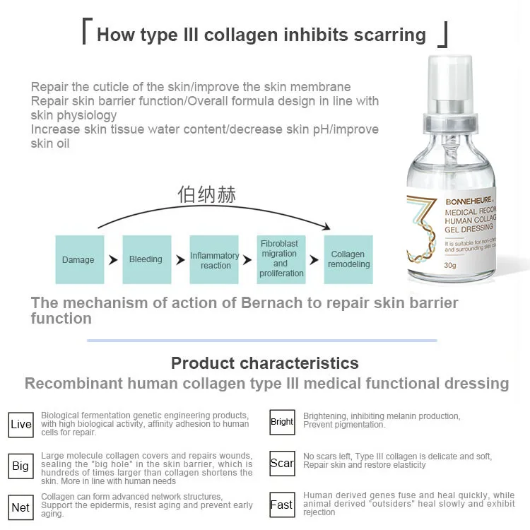 Recombinant Humanizing Collagen Booster Gel Anti-aging Brightening Medical Skincare Facial Serum for All Skin Types No hormones