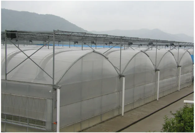 Customized Greenhouse China Factory Outlet Agricultural Greenhouses Multi-span Plastic Film Tunnel Hydroponic Green House
