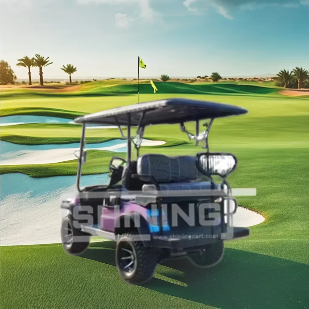 Shining Brand high degree club car electric differential four seat golf cart