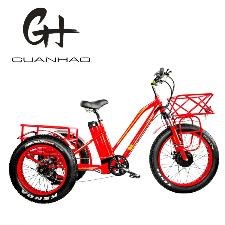  24inch Fat Tire Adult 3Wheel 48V1000W China tricycle OEM CE CPSC EN15194 21AH 3 Wheel Cargo Electric
