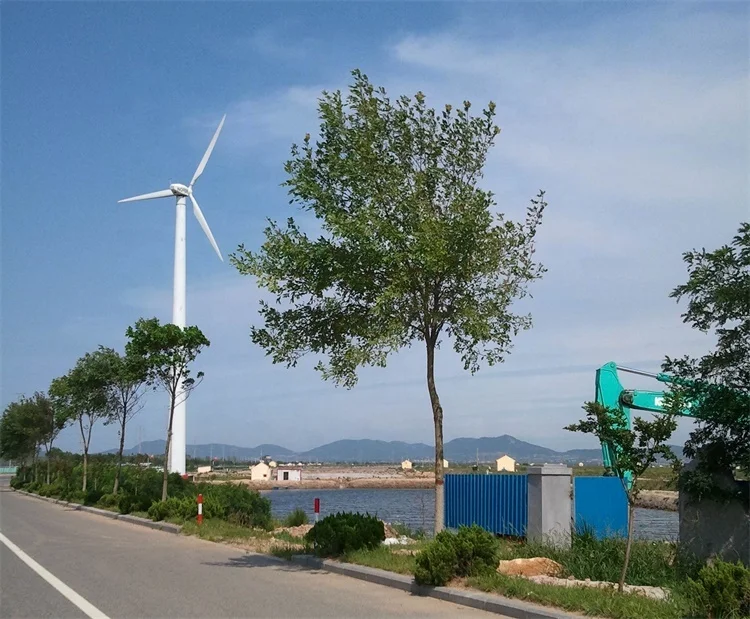Factory best selling new 50kw wind turbine price wind turbines energy generators