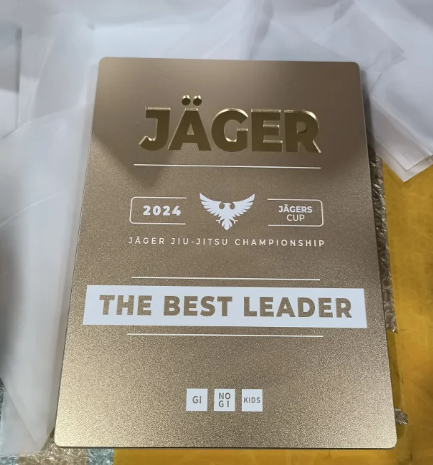 Aluminum Award Plaque with Custom Shape of Mirror, Premium Golden Trophy Award, Award Plates for Anniversary Events