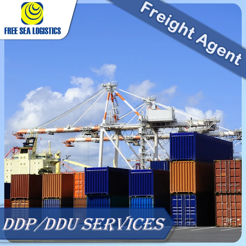 Best Door To Door Sea Freight Shipping Agent From Guangzhou China To Czech Belgium Greece Bulgaria ddp FBA LCL