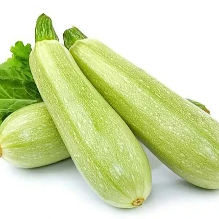 Frozen vegetables Factory Directly sell IQF Frozen  zucchini Slice