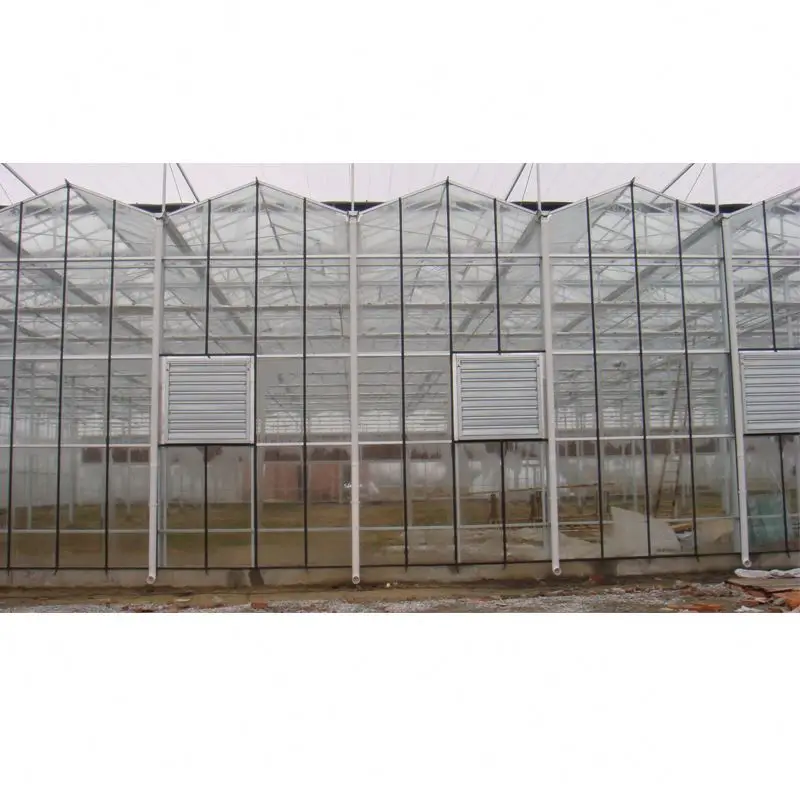 
Cheap price glass greenhouse factory direct sale with equipments keeping good condition for plants 