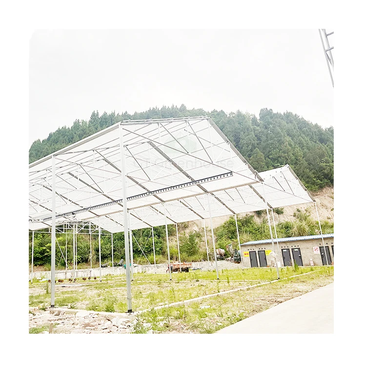 GT Plant All Kinds Of Trees Covering HDPE Flim A-Frame Structure Retractable Greenhouse For Tree Nursery