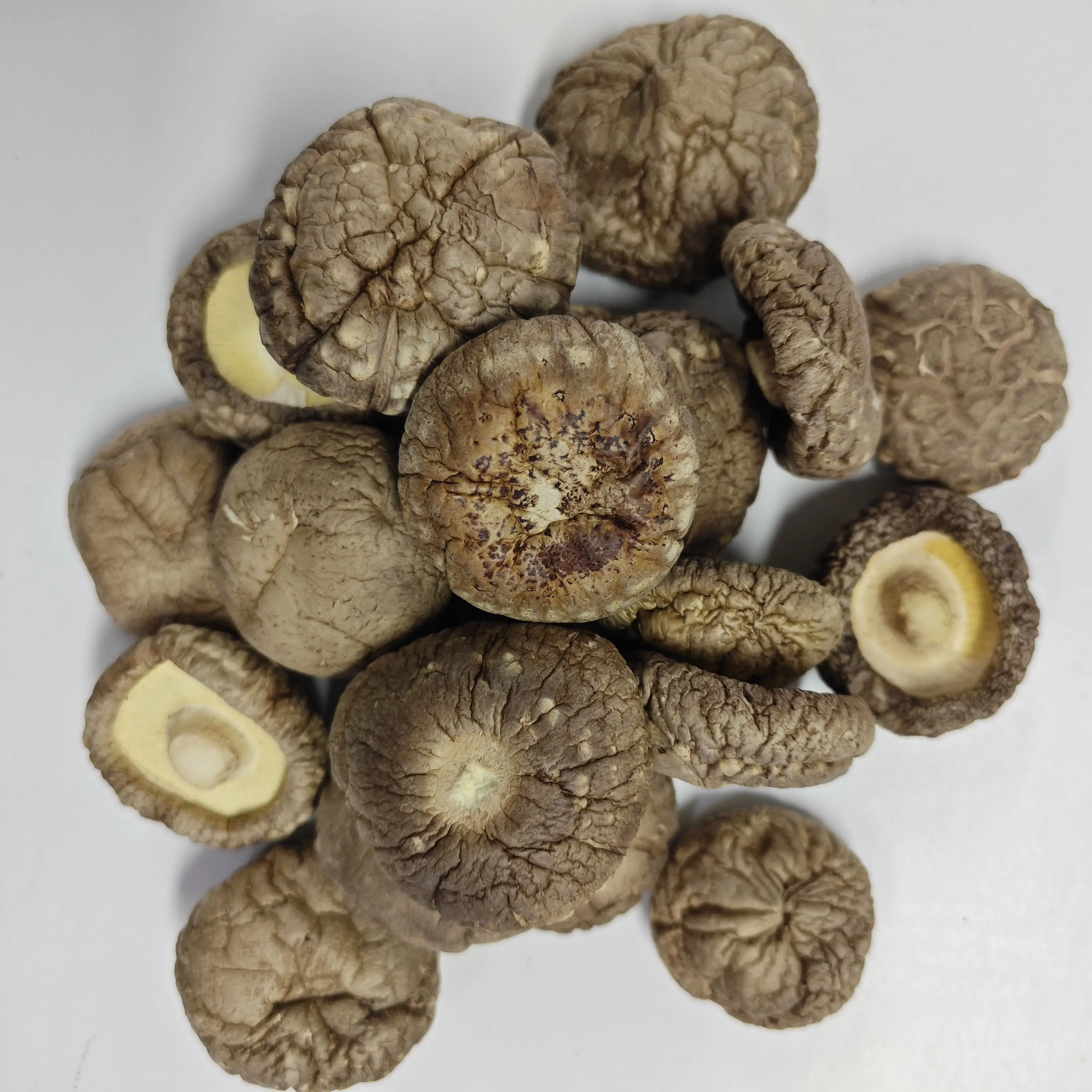 High Quality Dried Shiitake Mushroom Wholesale Price