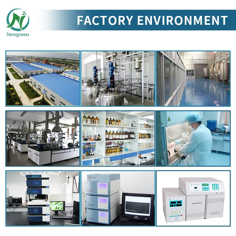 Newgreen Supply  Top Quality Guar Gum with Best Price