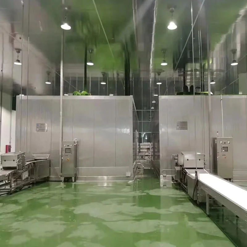 
High Quality IQF Spiral Blast Freezer 
