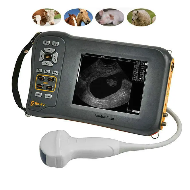 Veterinary farm animal ultrasound scanner FarmScan L60 portable echo ultrasound for cow pig sheep horse scanning