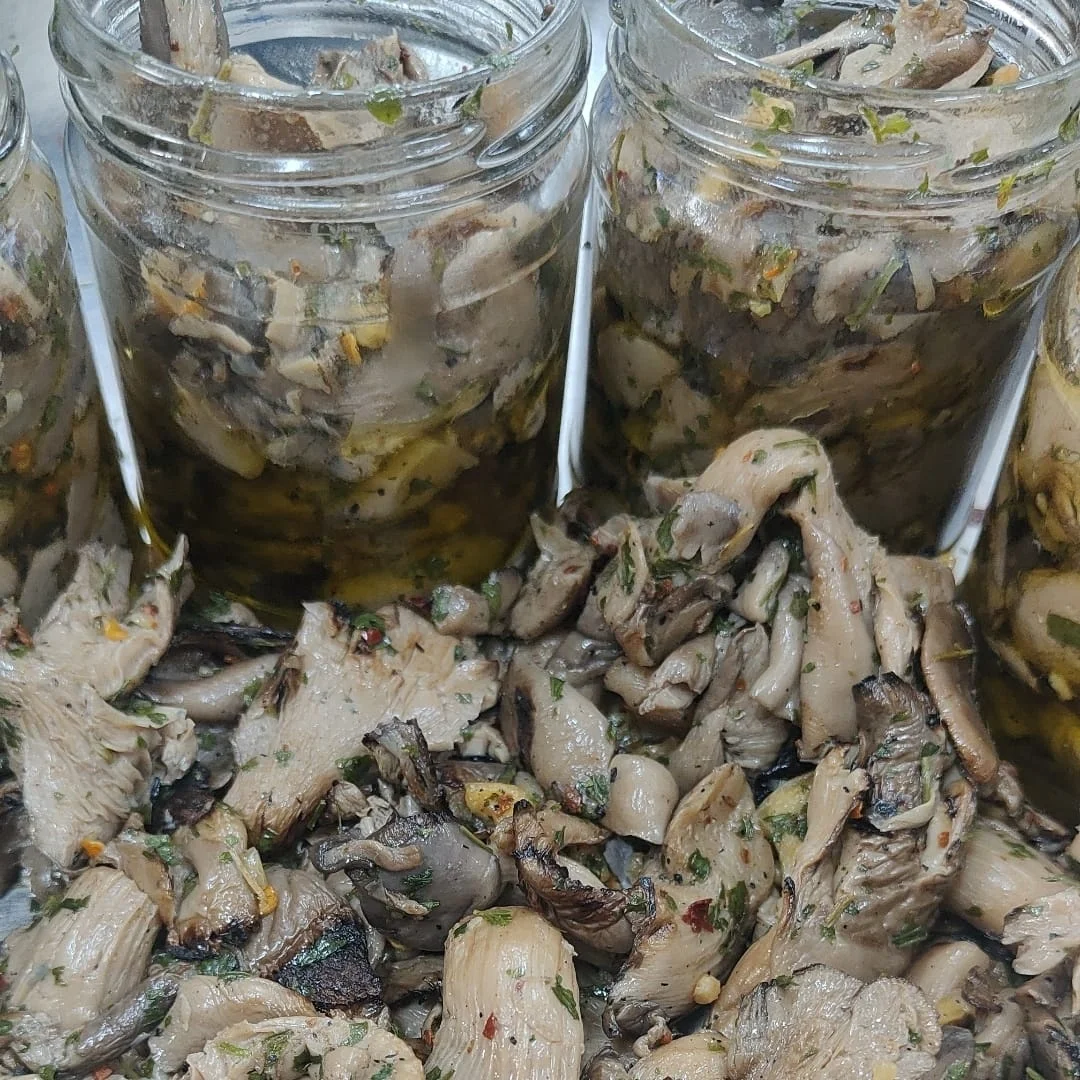 Hot Sell Canned Artisanal Grilled Pleurotus Mushrooms With Extra Virgin Olive Oil Ideal For Snack Sandwiches Or Dishes