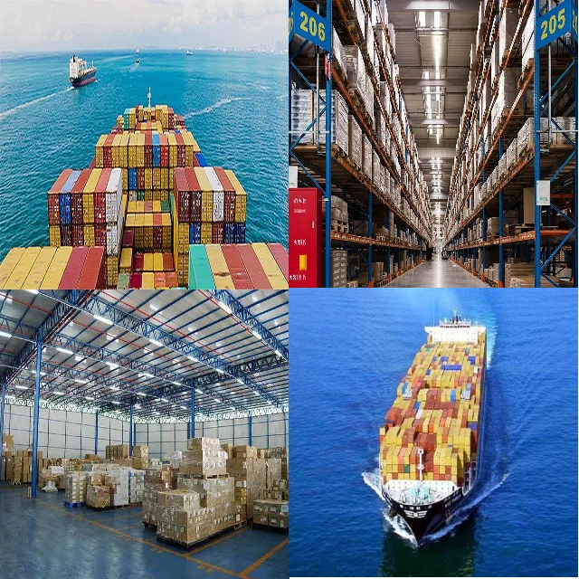 Дешевый Ocean Comp бесплатный склад в Китае морская перевозка Доставка из Китая Гану Непал по