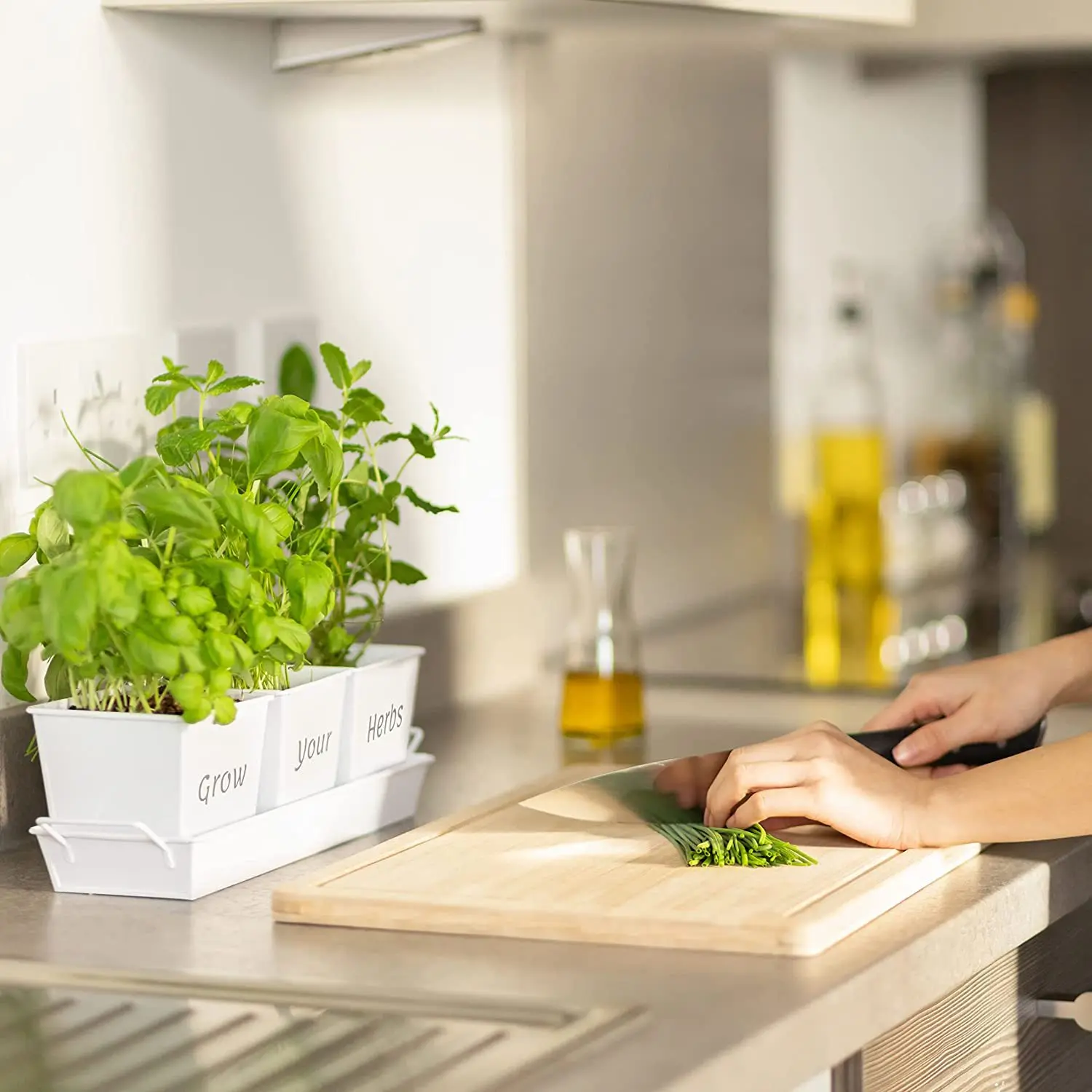 Complete Indoor Herb Garden Kit - Starter Set To Grow Fresh Herbs At Home