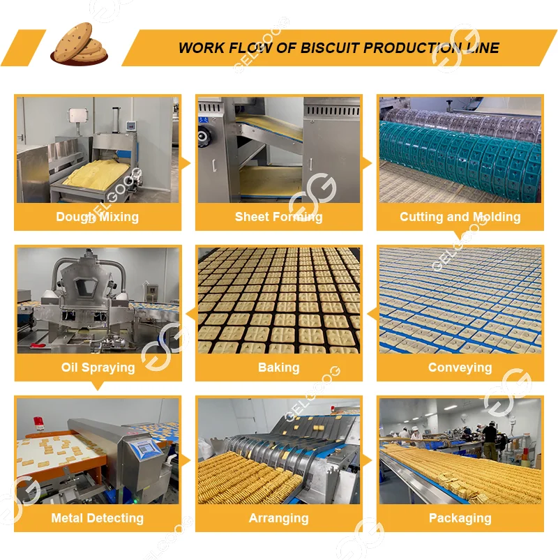 Manufacturing Plant Cookie Biscuit Moulding Pressing Machinery Chocolate Biscuit Making Machine
