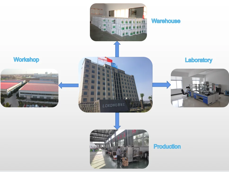 From China Loxowo brand suppliers biological agriculture soil manure foliar grain organic fertilizer